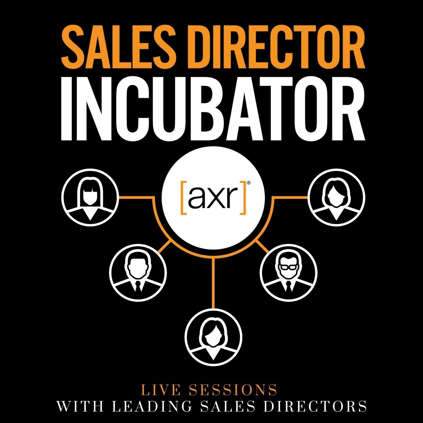 Sales Director Incubator live webinars sessions