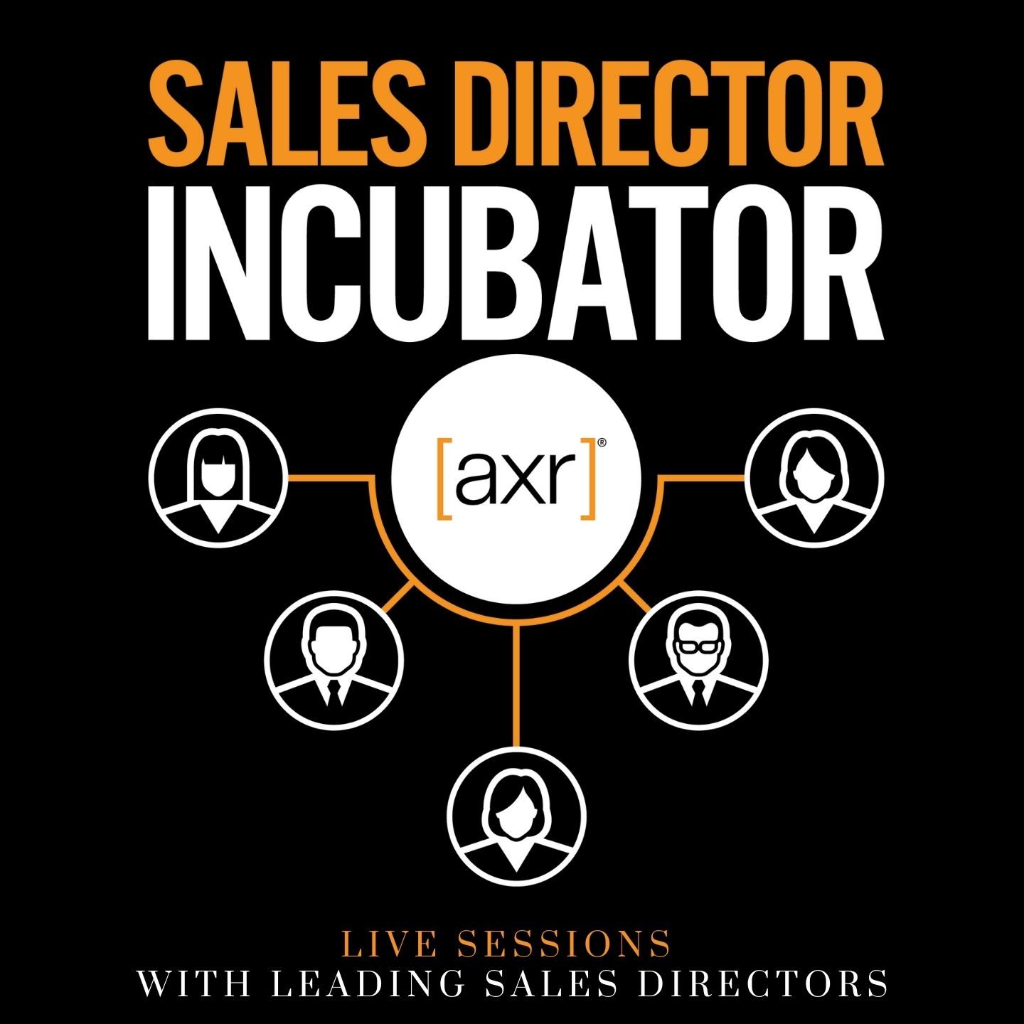 Sales Director Incubator live webinars sessions