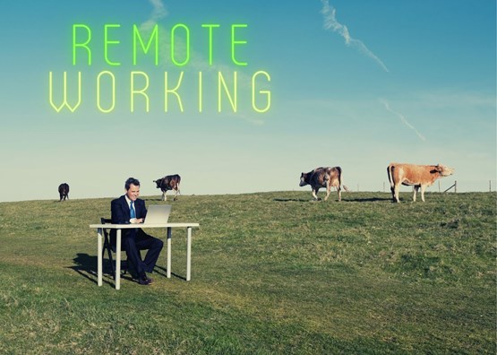 remote-working