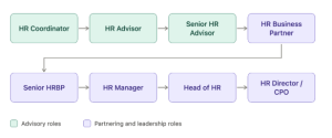 HR Career Path: From HR Coordinator to HR Director