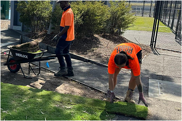 landscaping landscaping