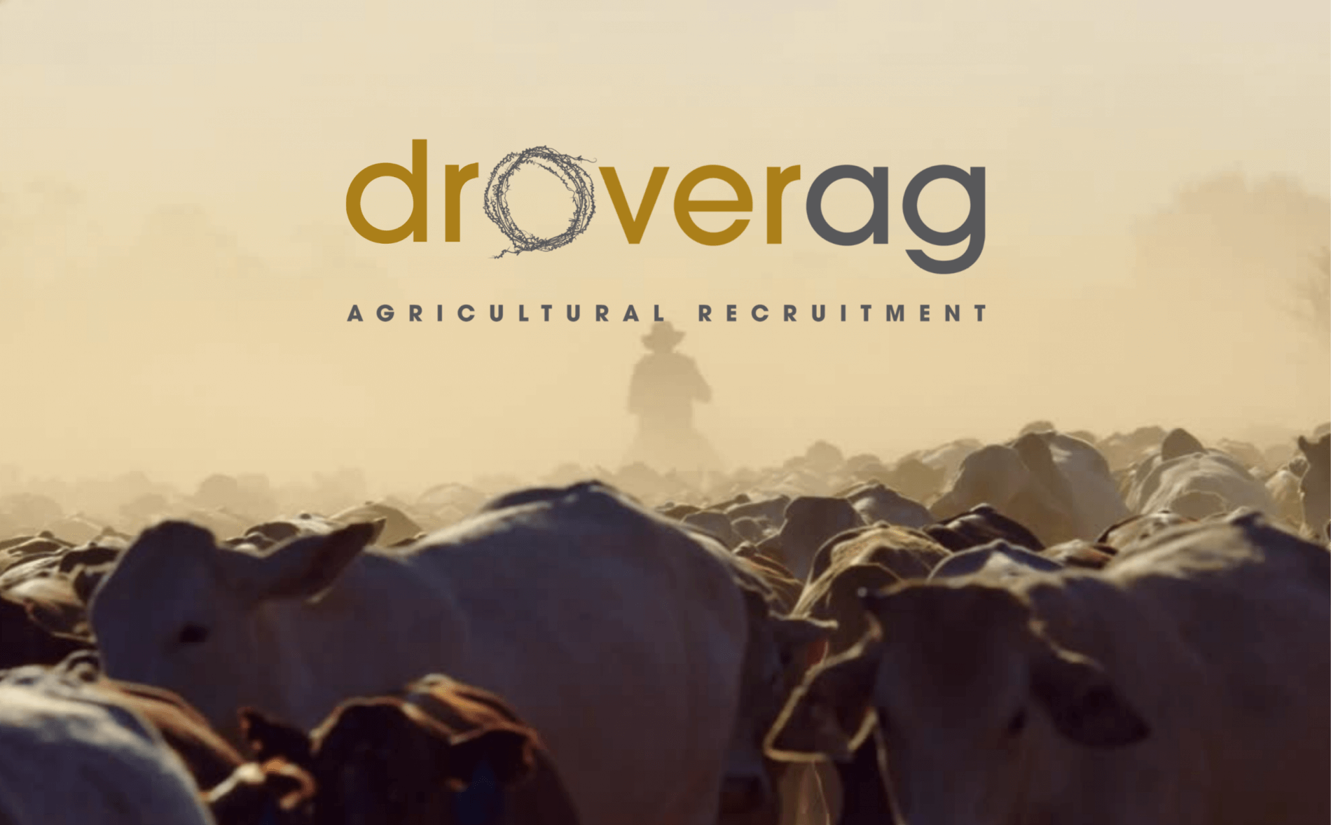 Drover AG logo
