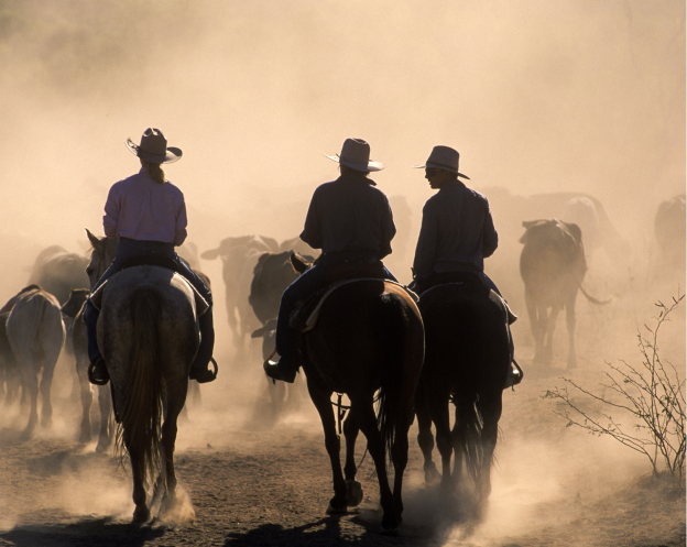 horse riders in the dust