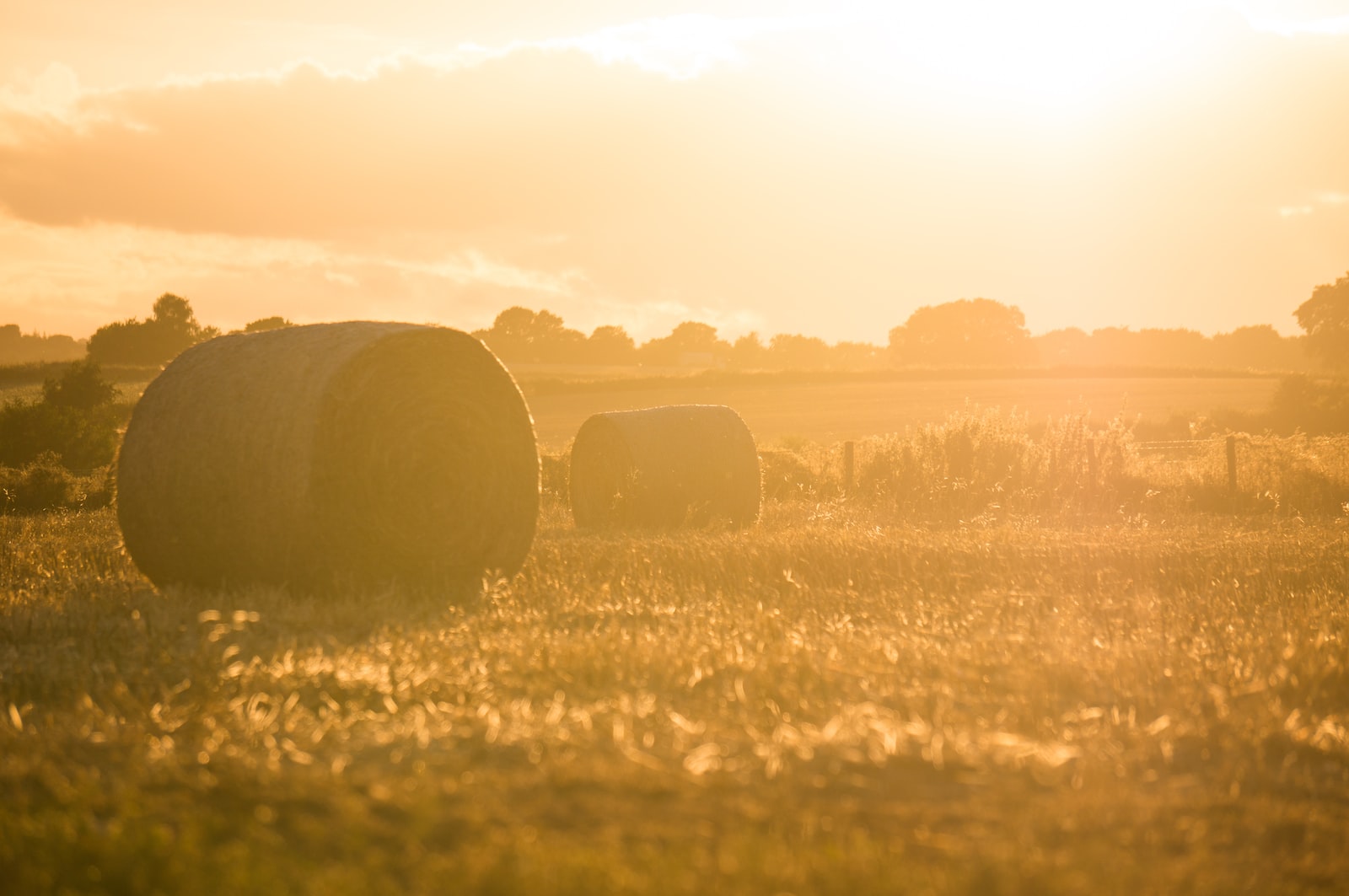 careers-in-agriculture-food-and-natural-resources