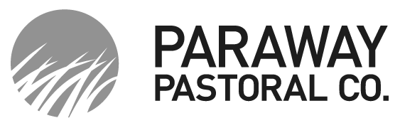 Paraway-logo-mono