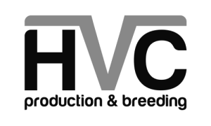 hvc-greyscale (500 x 300 px)