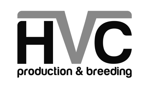 hvc-greyscale (500 x 300 px) hvc-greyscale (500 x 300 px)