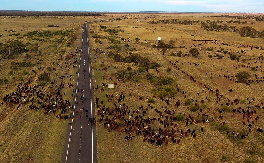 Blog Post Featured Image