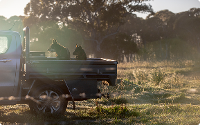 Cost-effective support for straightforward hiring.