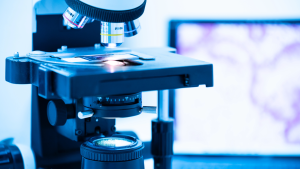 Consultant Anatomical Pathologist examining histopathology slides in a modern Australian diagnostic laboratory.