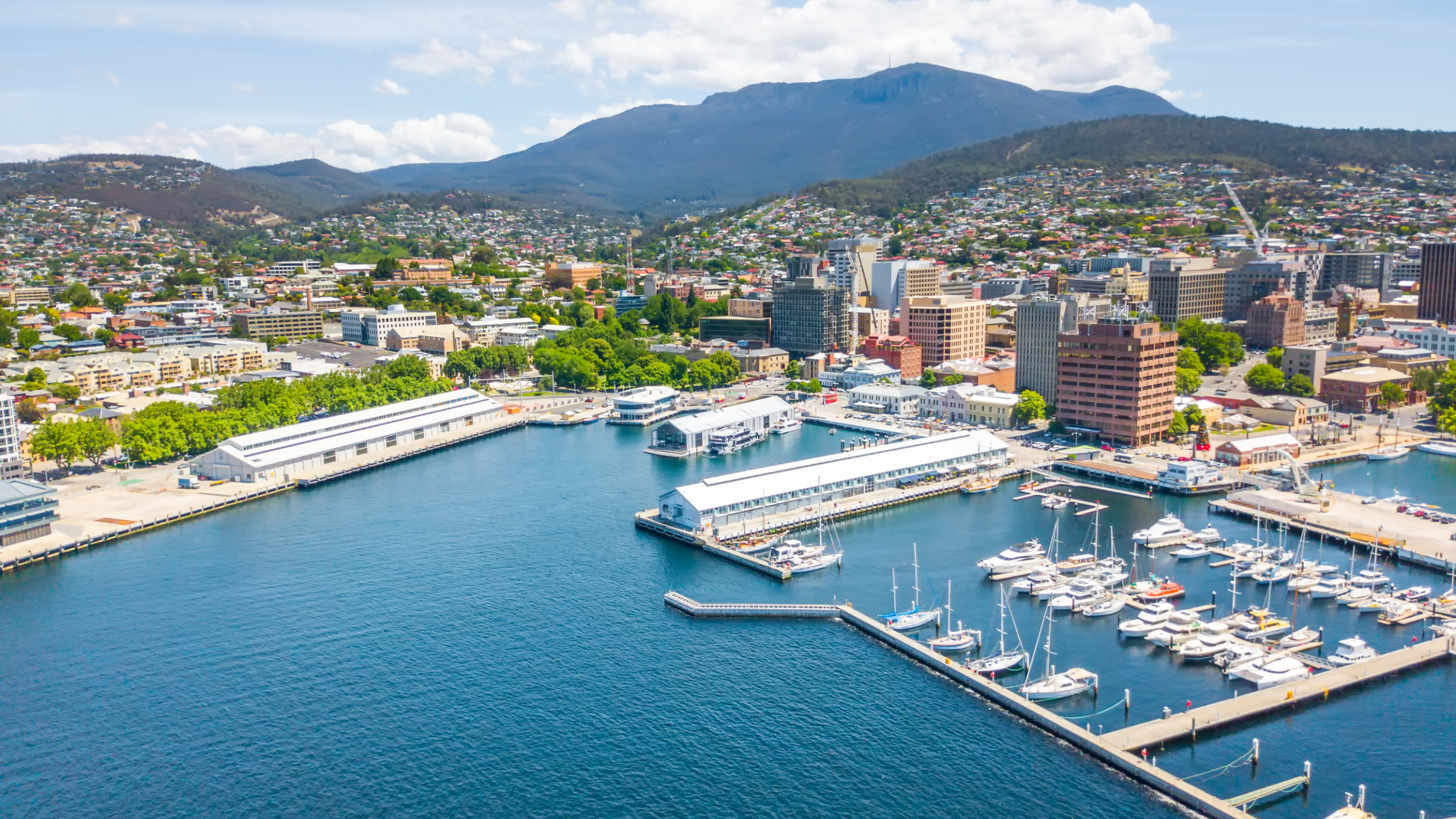 3 Reasons to Work as a Doctor in Tasmania