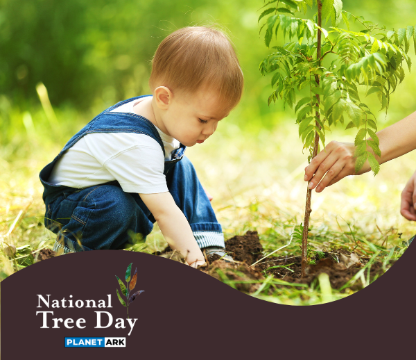 National Tree Day Activities for Early Learning Centres and Educators