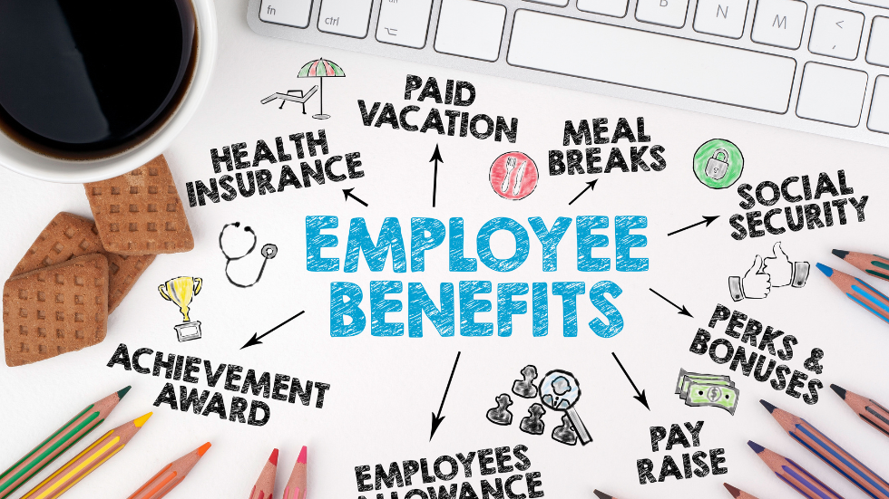 Understanding Employee Behaviour: What are the top employment benefits?