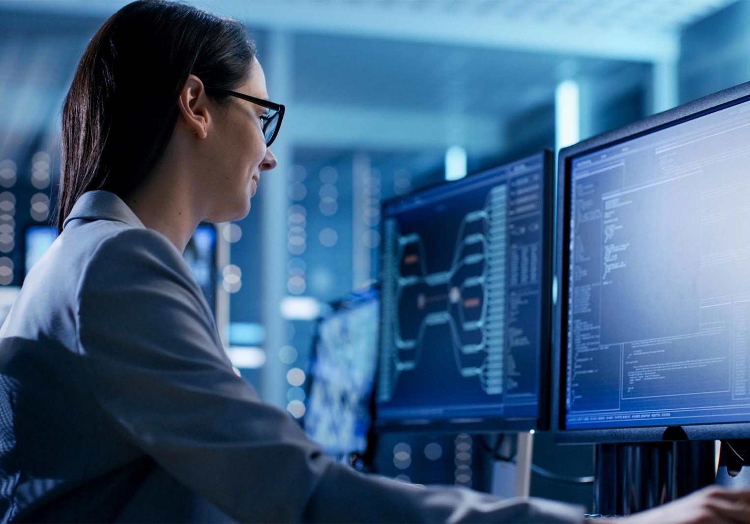 Data Scientist Job Description