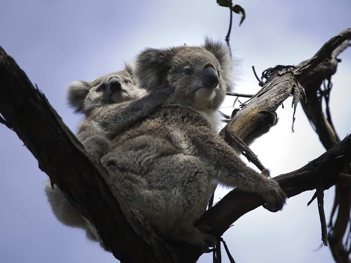 Blog Post Featured Image