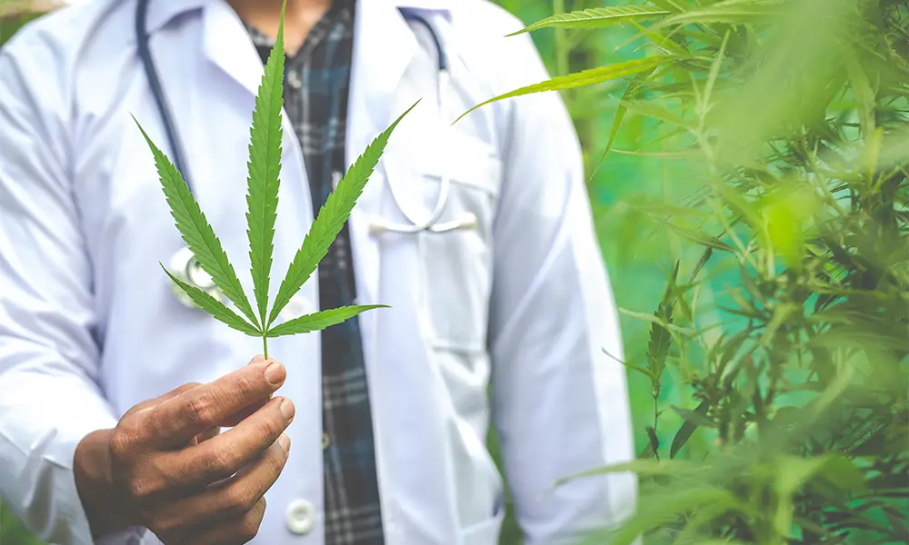 medicinal cannabis pharmacy jobs