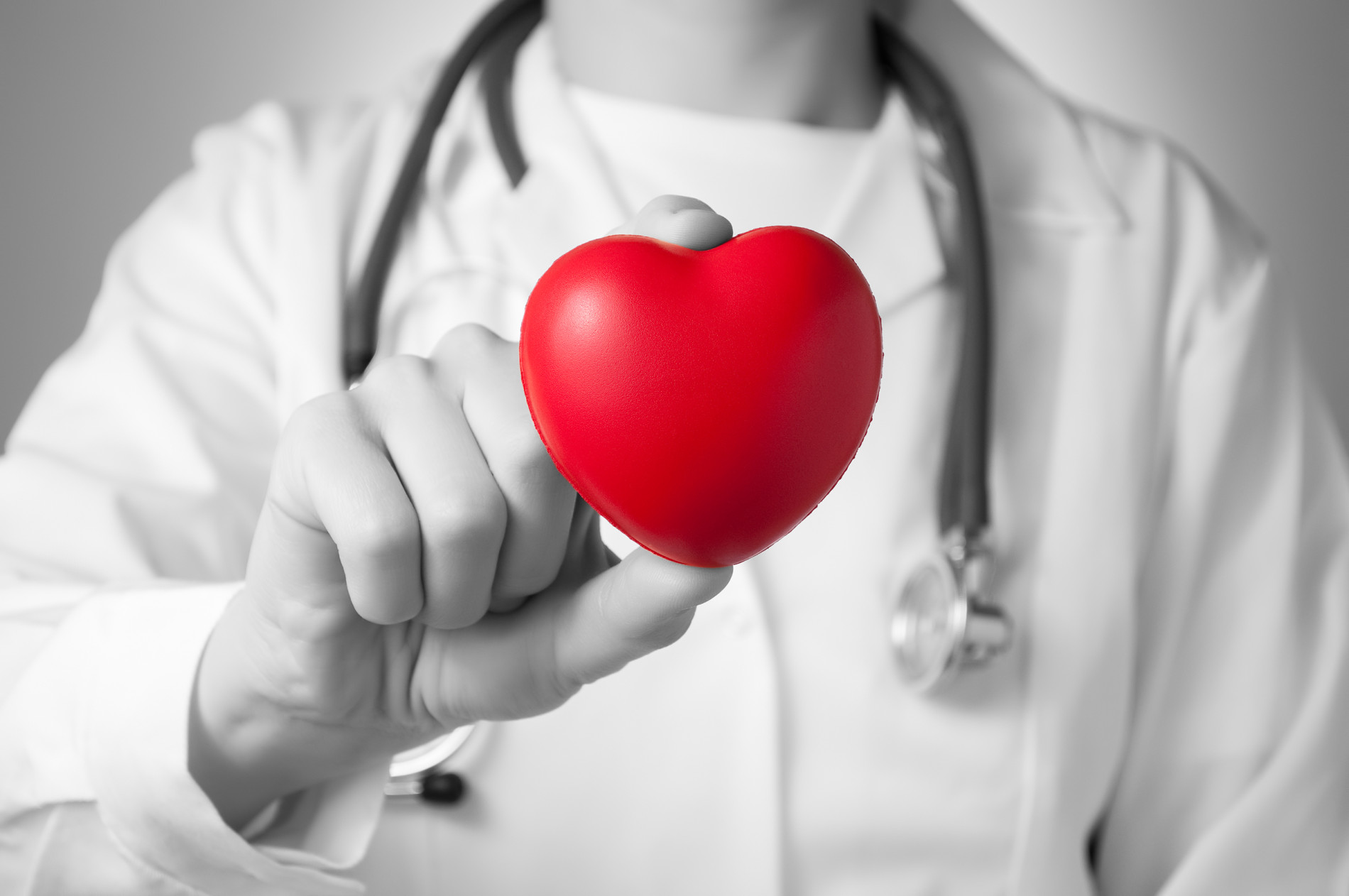 doctor holding love heart