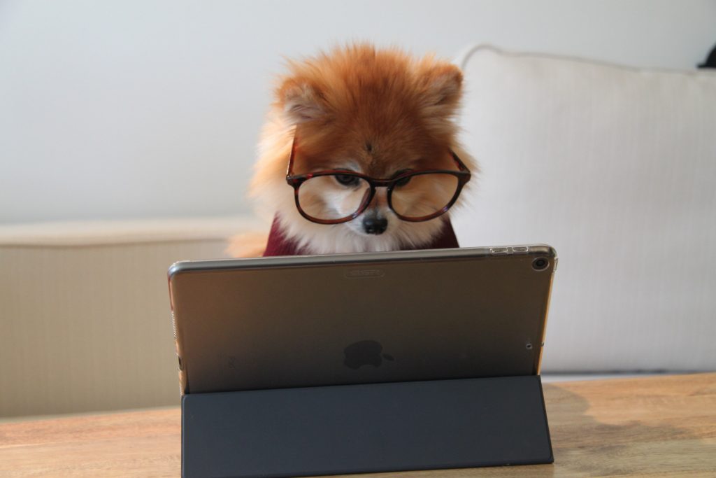 looking for work? australia wide recruitment agency MAYDAY can help