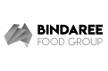 Logo for Bindaree Food Group