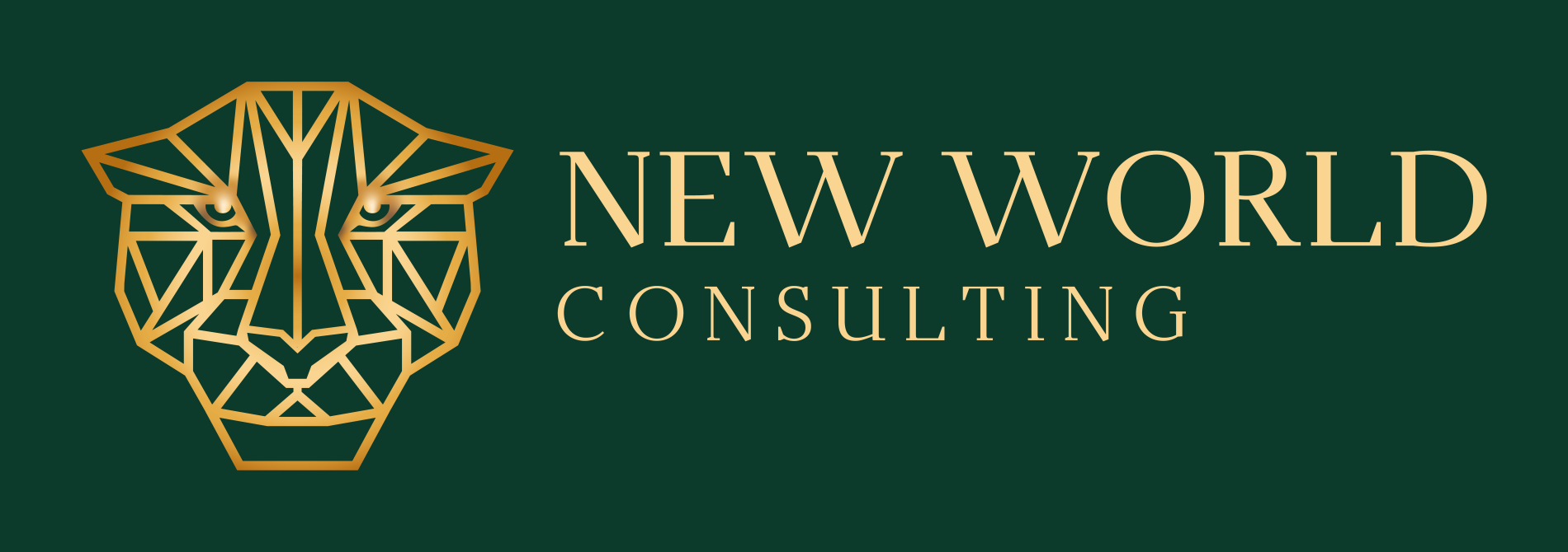 New World Consulting