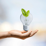 Ownership-and-Accountability-img