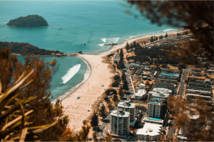 tauranga (1) (1)