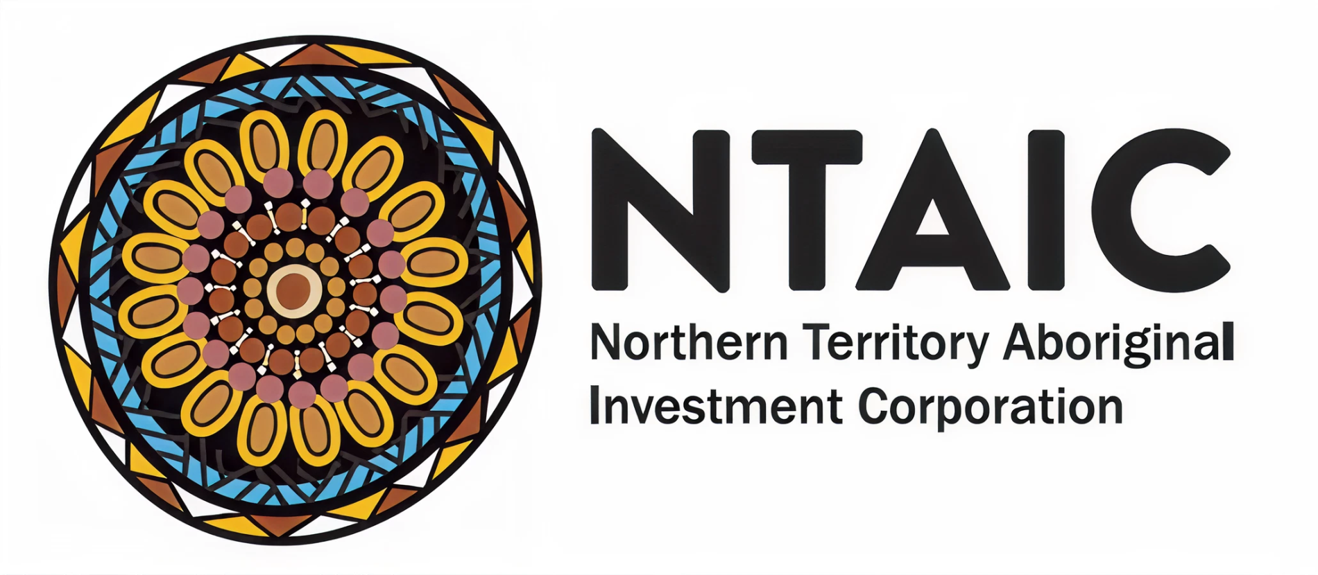 NTAIC Icon