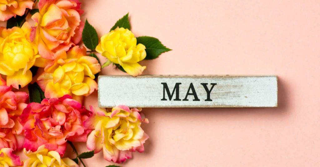 Pulse News | May in review
