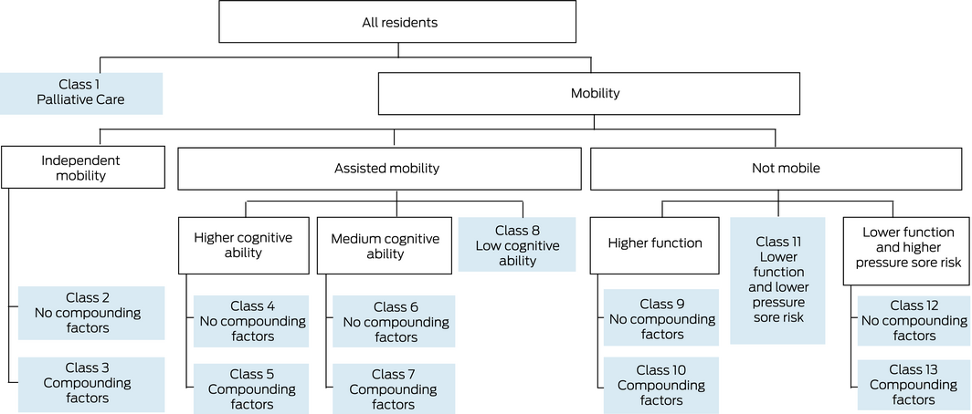 an-acc classification system