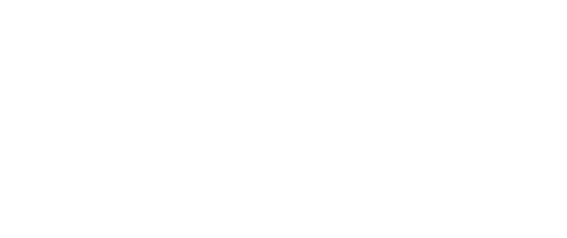 Spinifix logo - spinifex