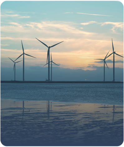 TW - Website Images_03 - Image 1