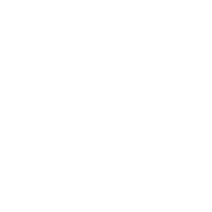 The Australian National Audit Office logo.