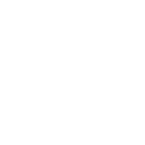 The Australian National Audit Office logo.