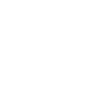 Digital61 Pty Ltd logo. Simplicity. Mobility. Security.
